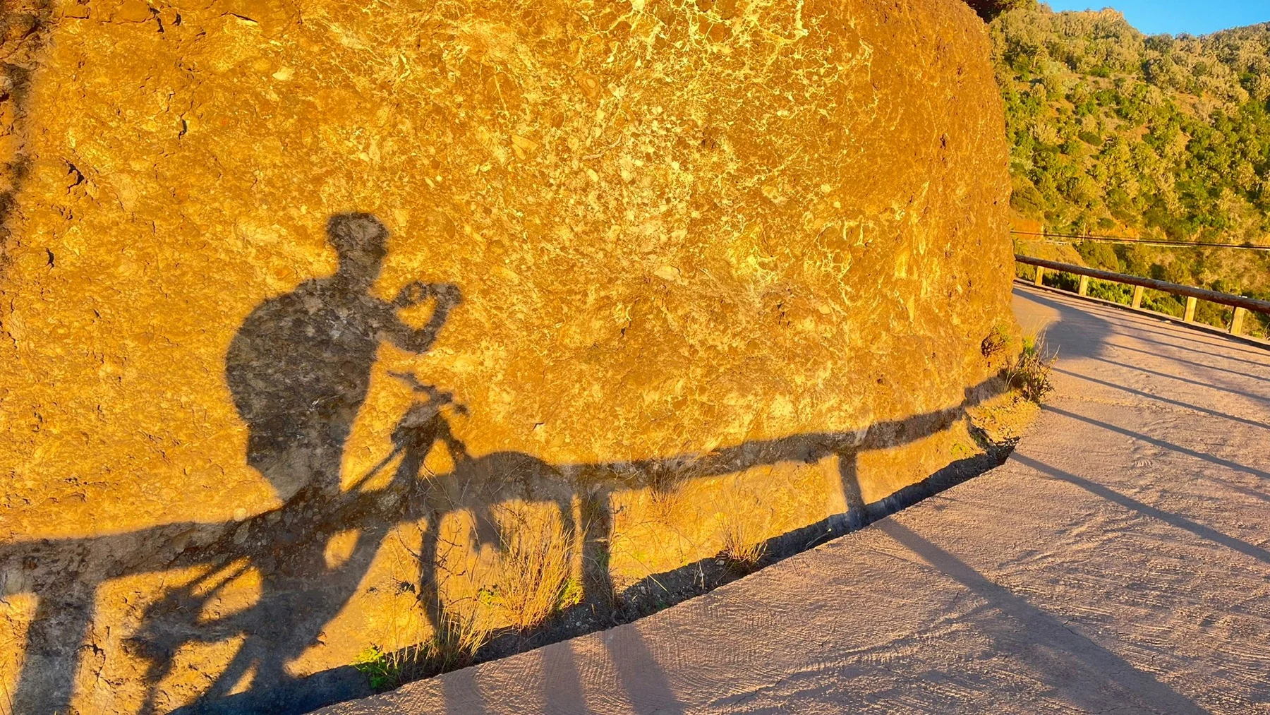 Im goldenen Abendlicht