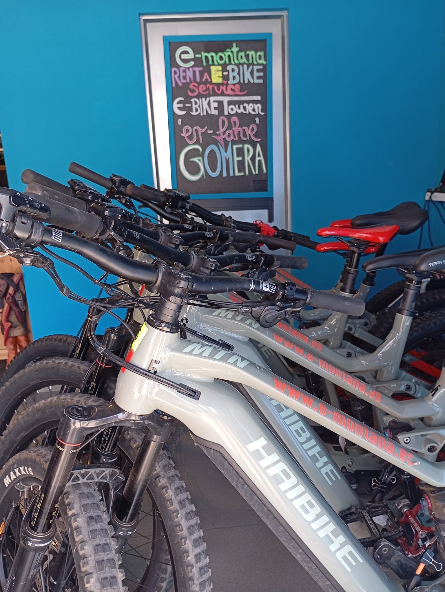 Unsere E-Bikes im Laden