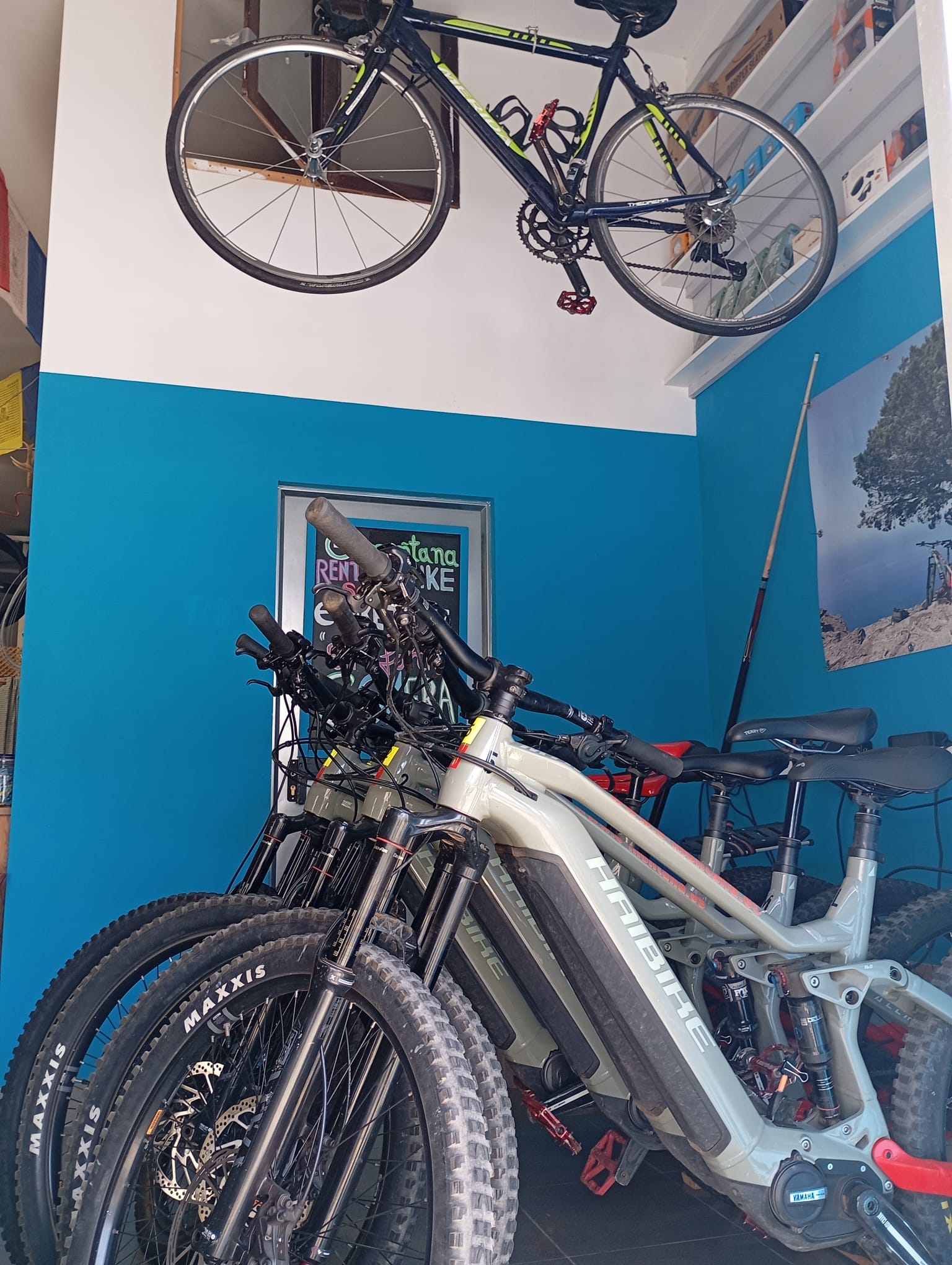 Ein Blick in unseren Fahrradverleih