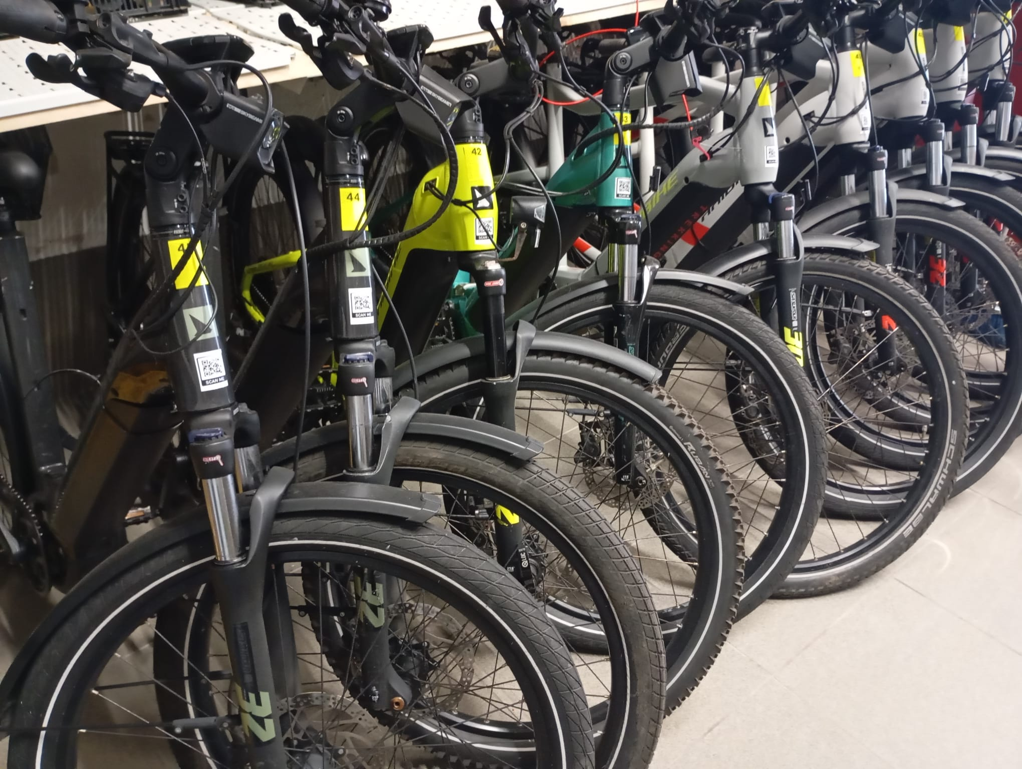 Unsere Trekking-E-Bikes