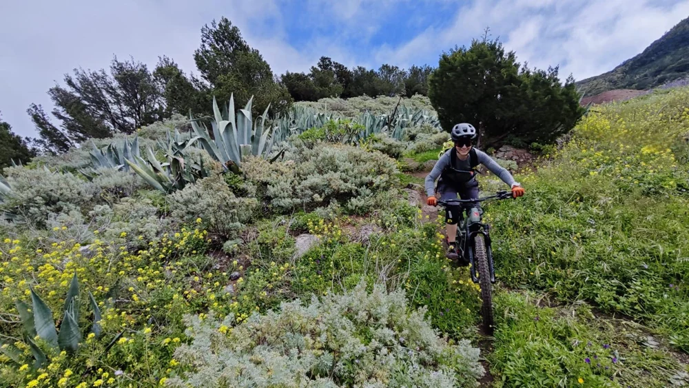 Radfahrer zwischen blühender Vegetation auf La Gomera